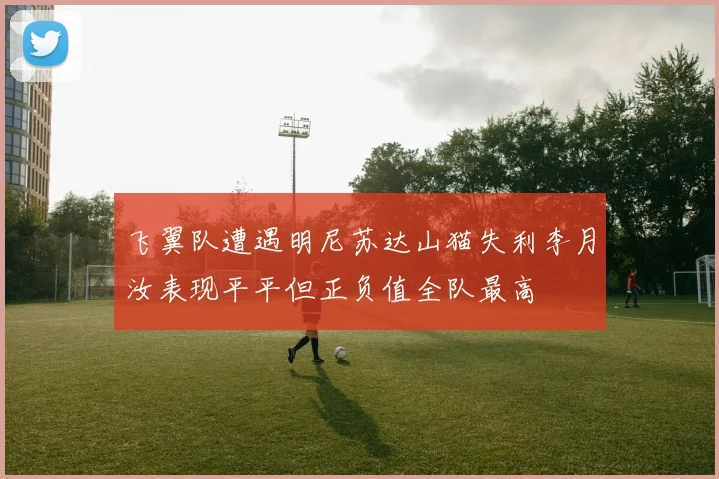 飞翼队遭遇明尼苏达山猫失利李月汝表现平平但正负值全队最高