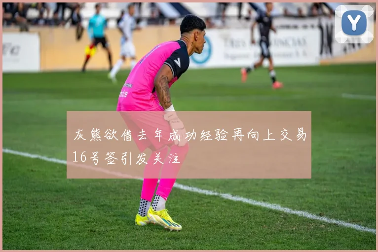 灰熊欲借去年成功经验再向上交易16号签引发关注